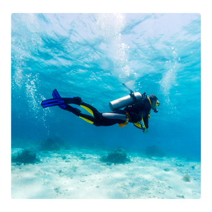 马来西亚 仙本那诗巴丹SIPADAN岛深潜/浮潜 马布岛名额充足