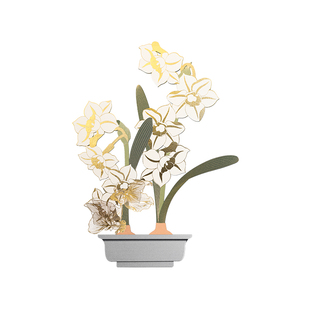 手心里仙游自在水仙花香氛花卡无火香薰摆件扩香器送朋友生日礼物