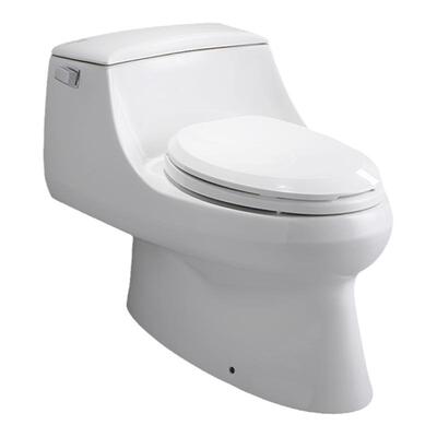 科勒圣拉菲尔连体坐便器