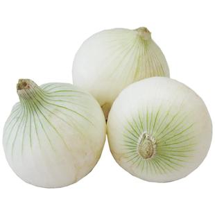 新疆白洋葱新鲜皮牙子可以生吃白皮芽子小圆葱头蔬菜凉拌炒菜