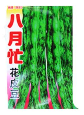 花皮高产播种秋季早熟架豆
