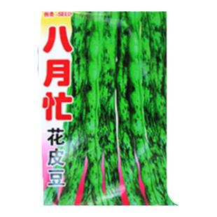 【花皮豆角种子】高产春秋播种蔬菜种籽四秋季豆菜豆芸豆早熟架豆