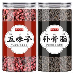 五味子补骨脂中药材组合茶北五味破故纸婆固脂泡水煮水喝功效作用