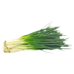 四季小葱种子香葱籽山东农家大葱盆栽葱花沙葱苗阳台疏蔬莱种孑苗