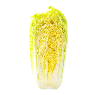 旭耕有机大白菜新鲜山东胶东娃娃菜现摘现发蔬菜10斤顺丰包邮