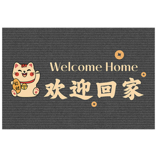 高级门厅入户地垫硅藻泥吸水防滑免洗耐脏进门口家用踩脚垫可裁剪