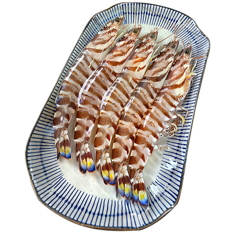 【3斤超大野生】舟山竹节虾