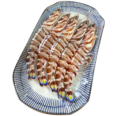 【3斤渔船直供】舟山竹节虾
