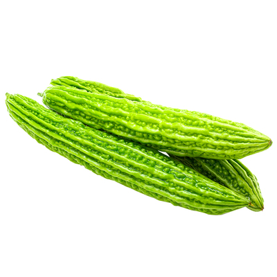 蔬菜疙瘩早熟高产耐热苦瓜种子