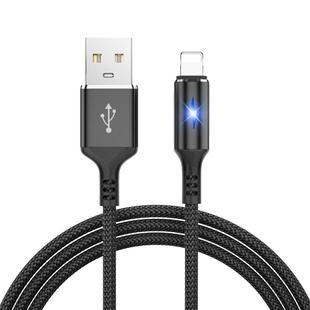 适用苹果数据线iPhone13快充12手机8plus带灯6s七11 XSmax加长2米11proXR充电器线8Pipad平板闪充5s小7短线se