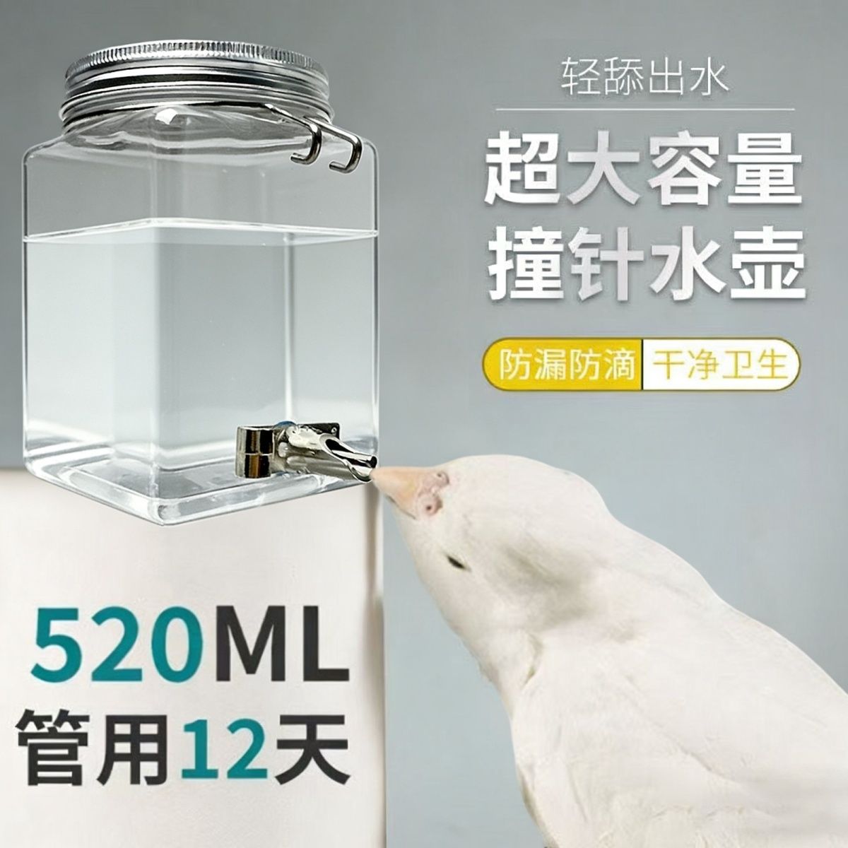 鹦鹉饮水器撞针水壶牡丹玄凤宠物兔子金丝熊荷兰猪龙猫自动喂水器