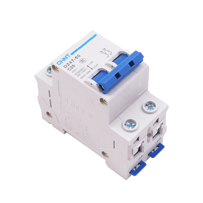 正泰NXBLE-63/32空气2P家用63A断路器32A开关带漏电保护器DZ47LE