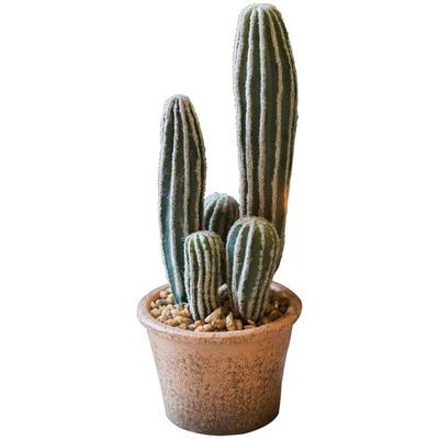 假绿植装饰仿真室内仙人掌仙人柱
