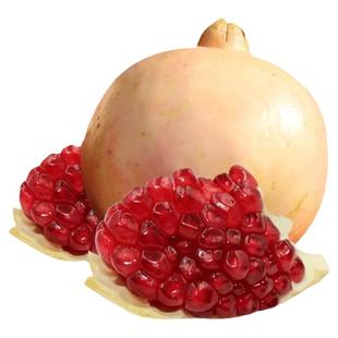 酸石榴新鲜水果特大黑钻红籽当季孕妇陕西临潼酸爽可泡酒专用