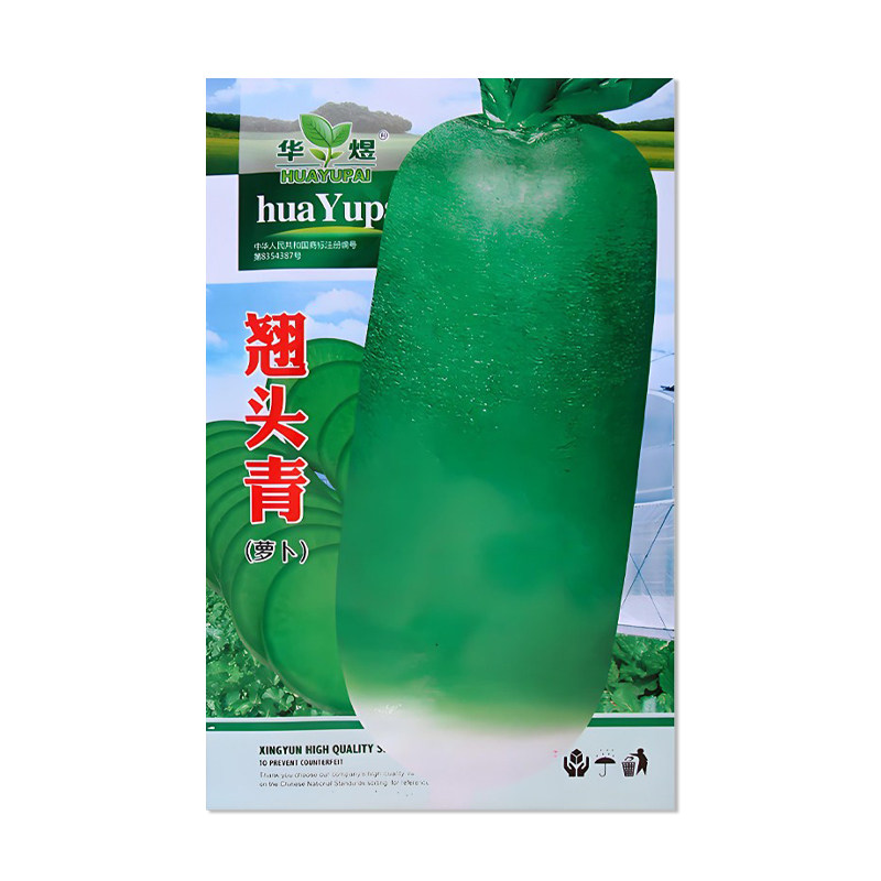 华煜翘头青萝卜种子水果青萝卜