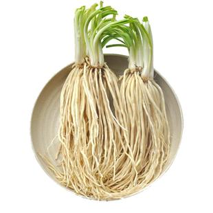 云南新鲜苤菜根 佤味鸡脚撇菜根皮菜根大韭菜根脚须子根牛皮腌制