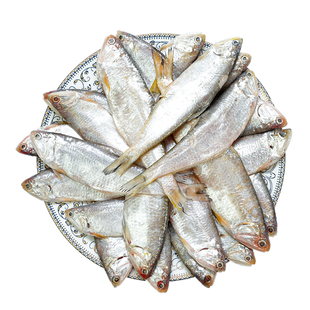 油扣鱼新鲜冷冻渤海湾小海鲜黄尖子毛扣海马口鱼香煎油炸黄鲫鱼