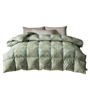 ELLEDECO95白鹅绒丝A类羽绒被冬被家用宿舍加厚保暖鹅绒被子被芯