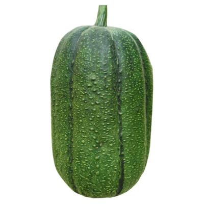 台湾青苹丝瓜种子短棒四季