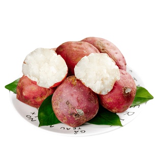 当季现挖重庆白心板栗红薯当季新鲜红苕番薯粉糯地瓜白心薯老品种