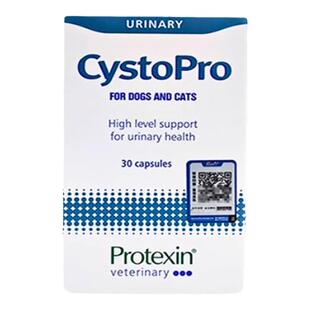 英国进口沙斯多保cystopro犬猫通用尿痛利尿通尿频尿血膀胱感染