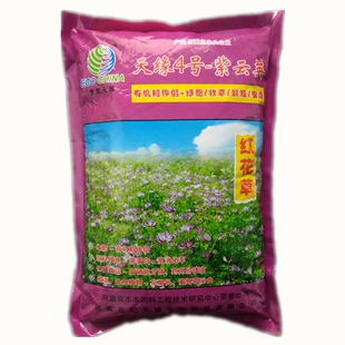 紫云英种子 绿肥红花草籽翘摇畜禽牧草景观芽苗野菜养蜂蜜源包邮