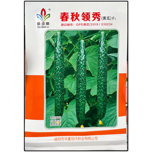 春秋领秀青黄瓜种子孑籽杂交高产胡瓜刺王勤青唐吊瓜蔬菜露天春夏