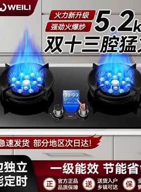 威力燃气灶双灶煤气灶家用鸳鸯灶台式嵌入式猛火炉具炉盘