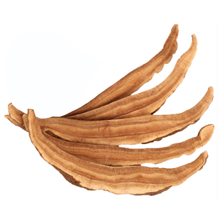 林岛 灵芝 灵芝片 椴木 灵子 林芝 长白山 50克/瓶