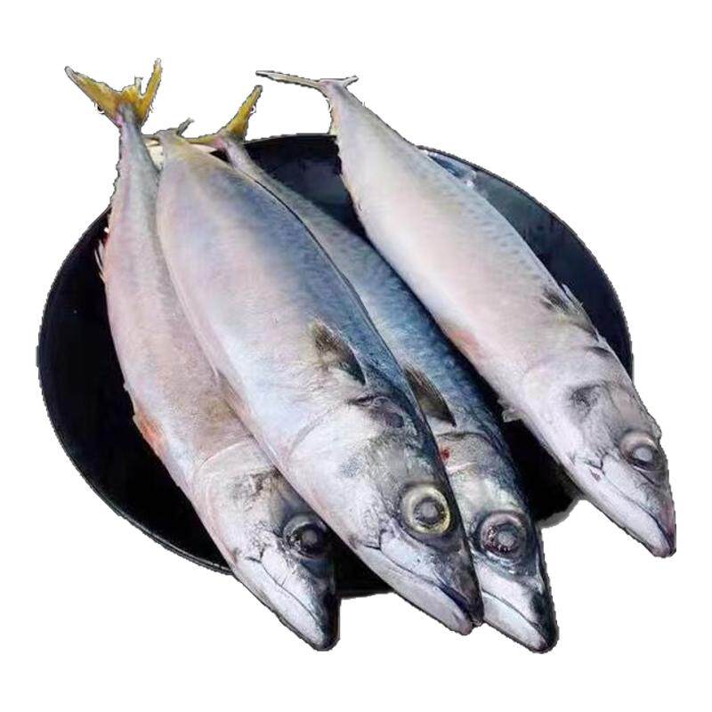 新鲜冷冻深海鱼野生水产