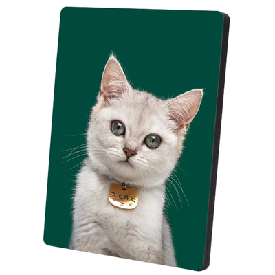 大韩水晶简约洗照片做成相框摆件