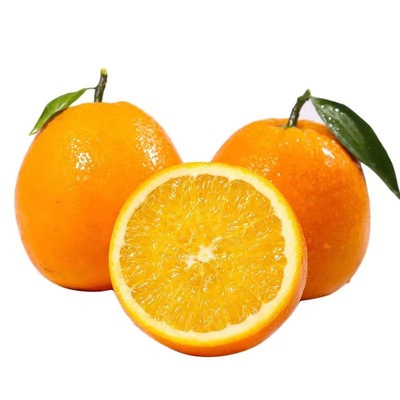 渝见橙重庆奉节脐橙脆嫩化渣