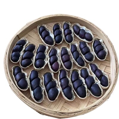云南黑花生富硒普洱2025新货晒干种带壳黑皮花生米新鲜原味