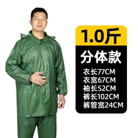 1,0 кот фондов тела