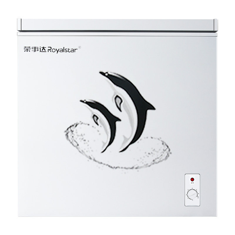 荣事达静音节能小冰柜家用小型全冷冻冷藏转换两用柜无霜商用冷柜