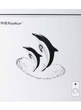 荣事达静音节能小冰柜家用小型全冷冻冷藏转换两用柜无霜商用冷柜