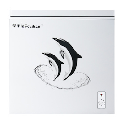 荣事达一级节能小冰柜家用小型全冷冻冷藏转换两用柜无霜商用冷柜