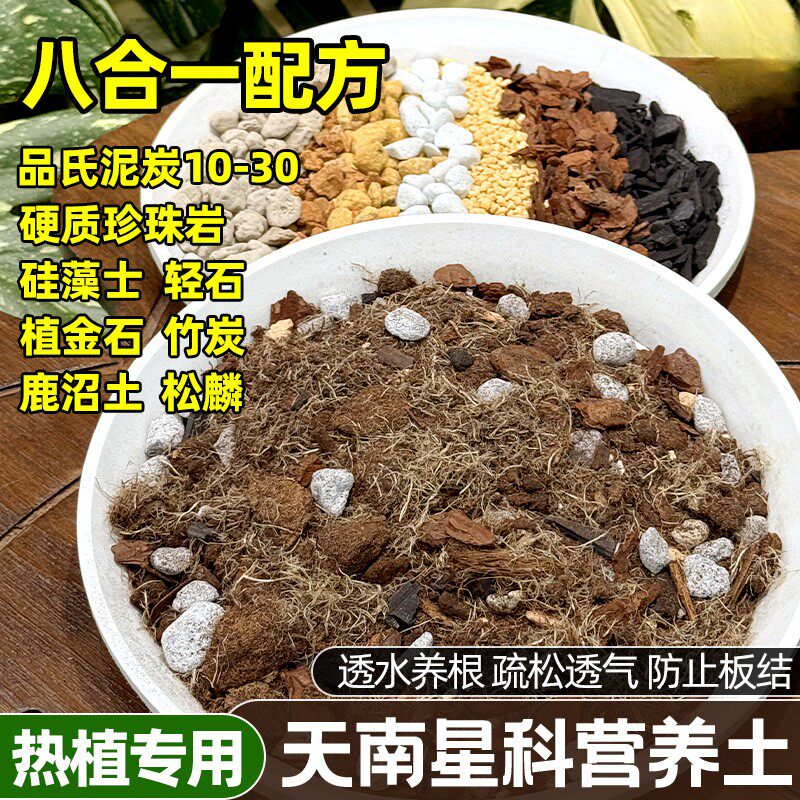 天南星科专用土八合一植物配土热植土龟背竹花烛芋科秋海棠蔓绿绒图片