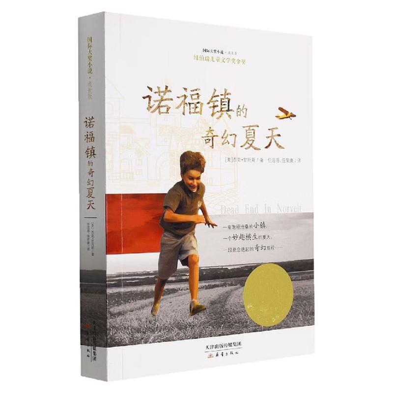 诺福镇的奇幻夏天国际大奖小说