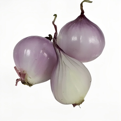 东北鬼子葱小毛葱圆葱