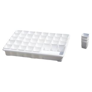 多肉拇指3.7cm控根方盆浸水托盘育苗播种肉锥生石花盆阳台精控养