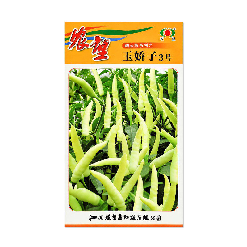 农望玉娇子3号辣椒种子