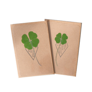 真叶幸运草四叶草标本毕业礼物透卡天然许愿卡书签亚克力韩国眼泪