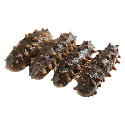 大连纯野生海参干货淡干海参辽参刺参长岛海参深海辽刺参礼盒顺丰