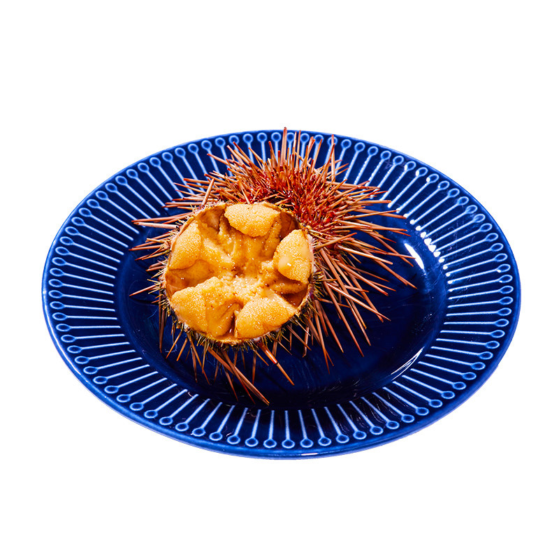 马粪海胆鲜活紫黄即食日料现剥刺身生鲜大连海鲜食材海胆肉刺赤身