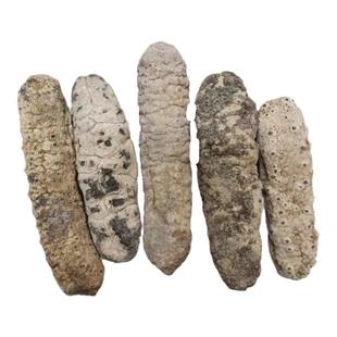 黄肉参黄玉参爆款直销淡野生海参干货新品天然米刺参煲汤500g包邮