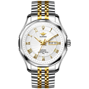 瑞士认证正品牌专卖店新款商务男表真钻镶嵌进口机芯机械表十大