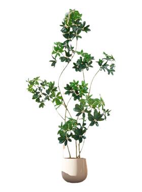 鸭脚木仿真绿植轻奢高端仿生植物