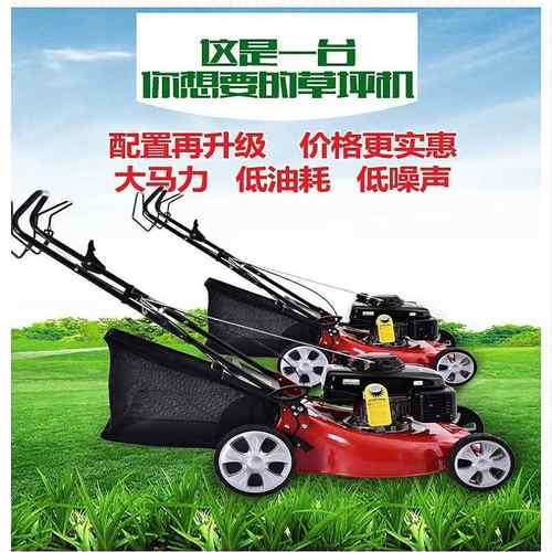 工厂直销新款自走式草坪机 汽油动力剪草机 大马力手推式割草机