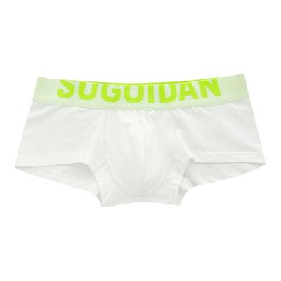 男士内裤小平角版型低腰性感包邮